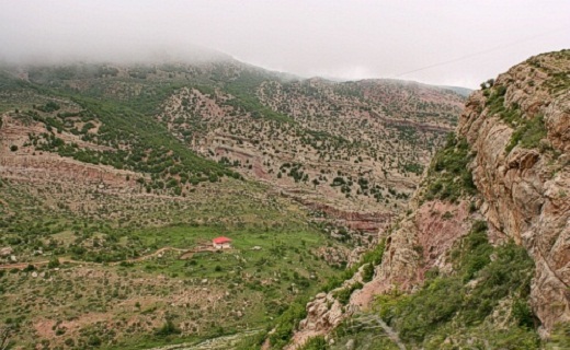منطقه پرور